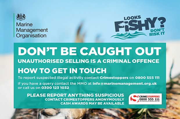 mmo illegal fish campaign