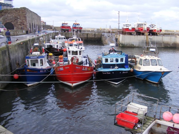 A line of boats in a harbour