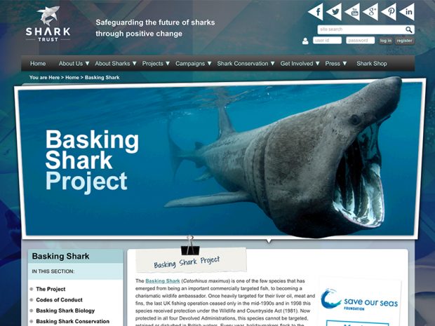 Basking Shark Project website