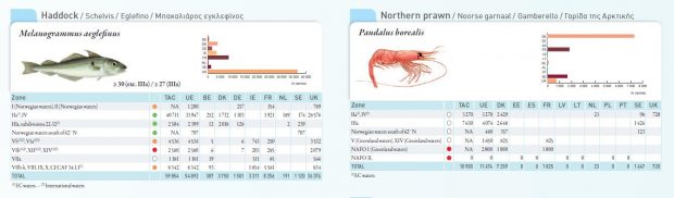 Fish Identification