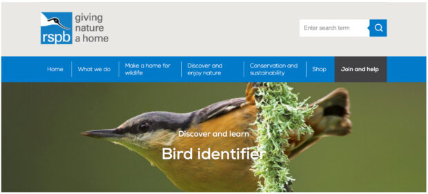 Bird identifier website