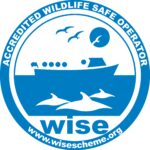 wise scheme logo