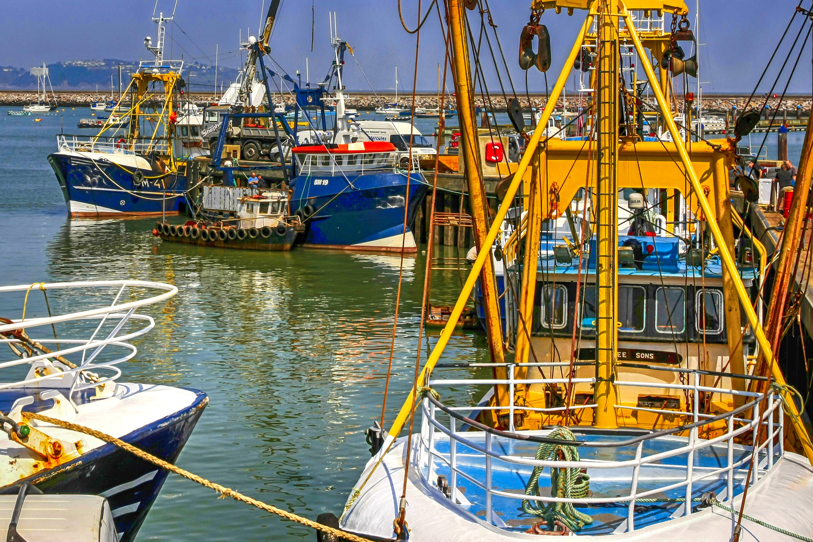 UK Sea Fisheries Annual Statistics Report 2015 - Marine 