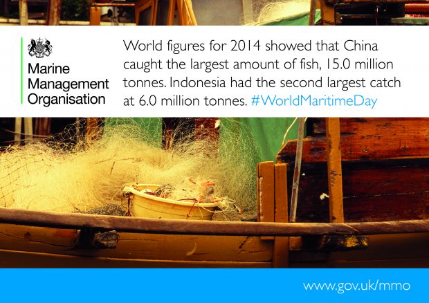 Sea fisheries statistics