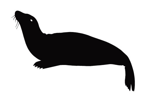 Exercise Grey Seal logo