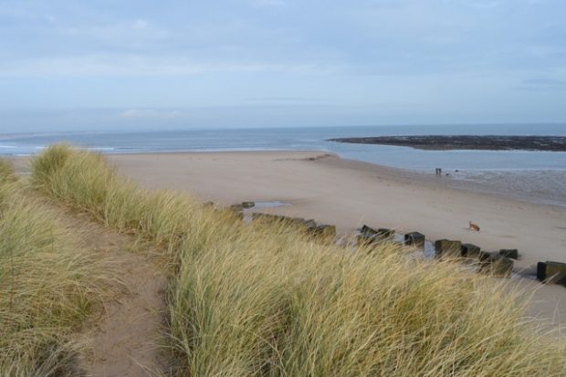 Cresswell beach