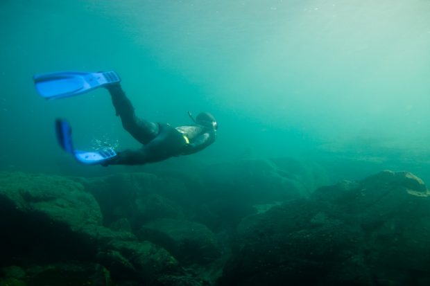 Snorkeling in murkey water