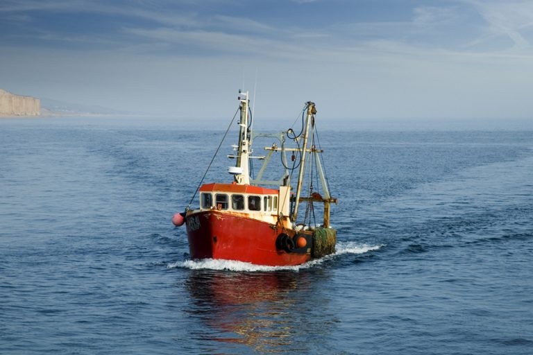 Statistics about fishing in the UK and beyond - Marine developments