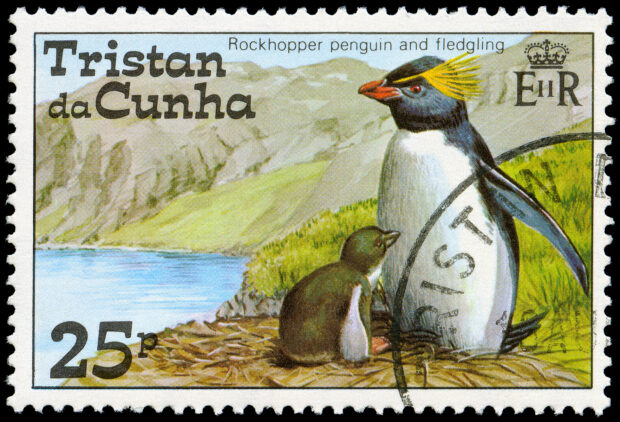 Rockhopper Penguins of Tristan da Cunha stamp