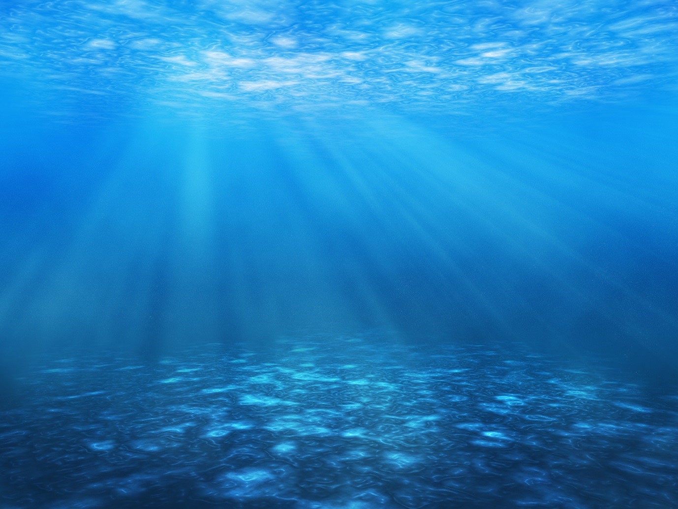 Big data provides new insights into life on the seabed – Marine ...