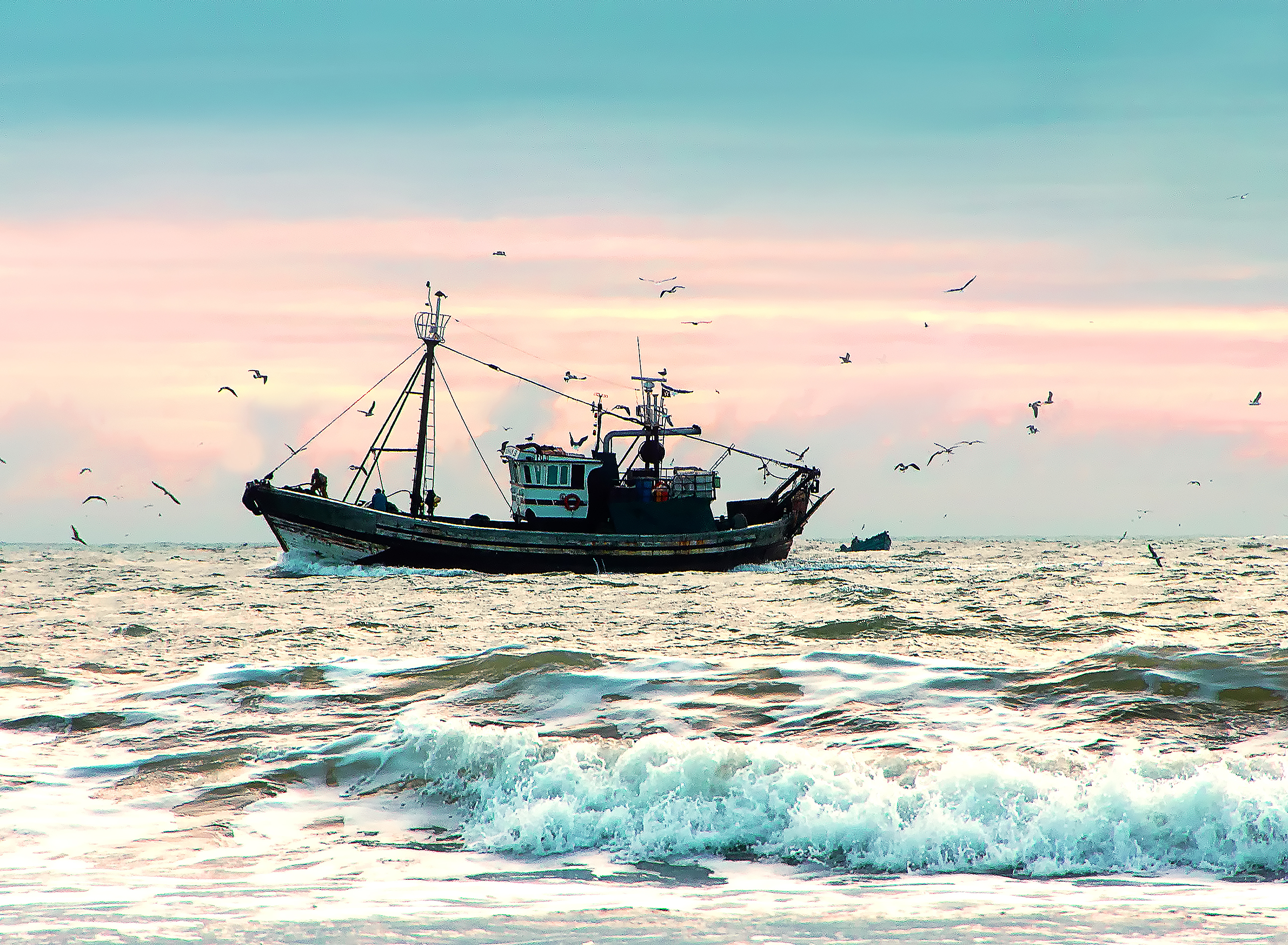 Seagulls following a trawler across the sea.