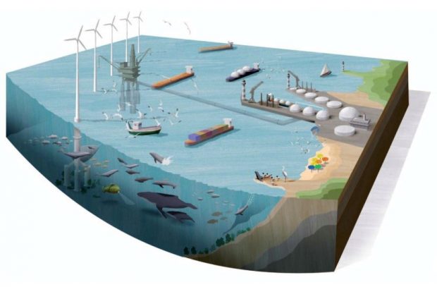 Graphic showing users of the sea including ships, wind farms, oil rigs and wildlife.