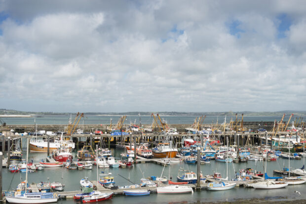 Harbour with lots of small fishing boats moored.