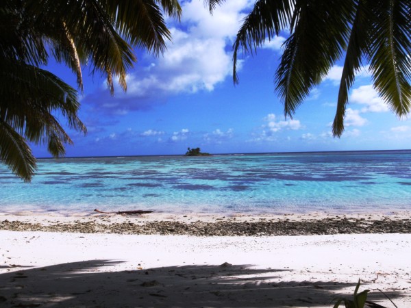 Tropical beach and palm tress looking out to sea.