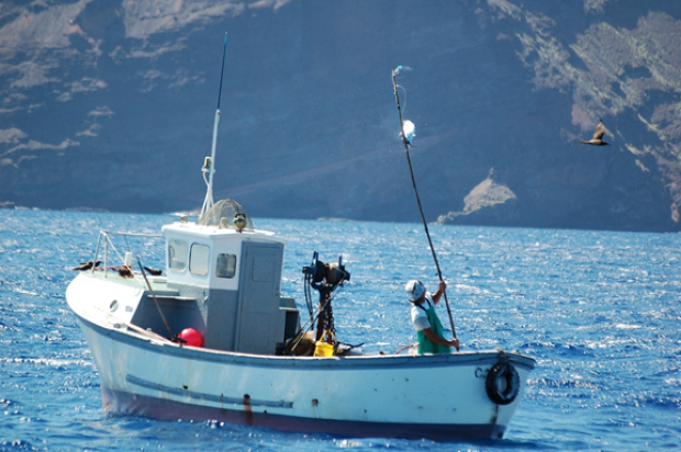 This photo was taken in St Helena showing a skipjack tuna being caught