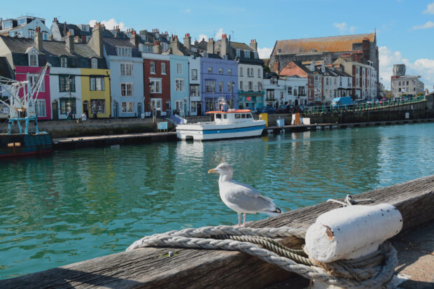 Custom House Quay at Weymouth Harbour