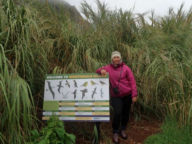 Ness Smith on Nightingale Island (in a hat knitted from St Helena wool!)