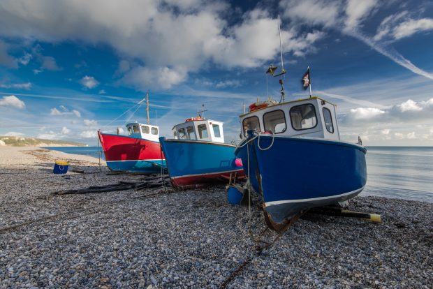 Boats lined up on the shore