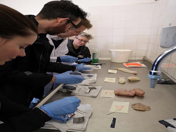 MMO officers testing fish fillets