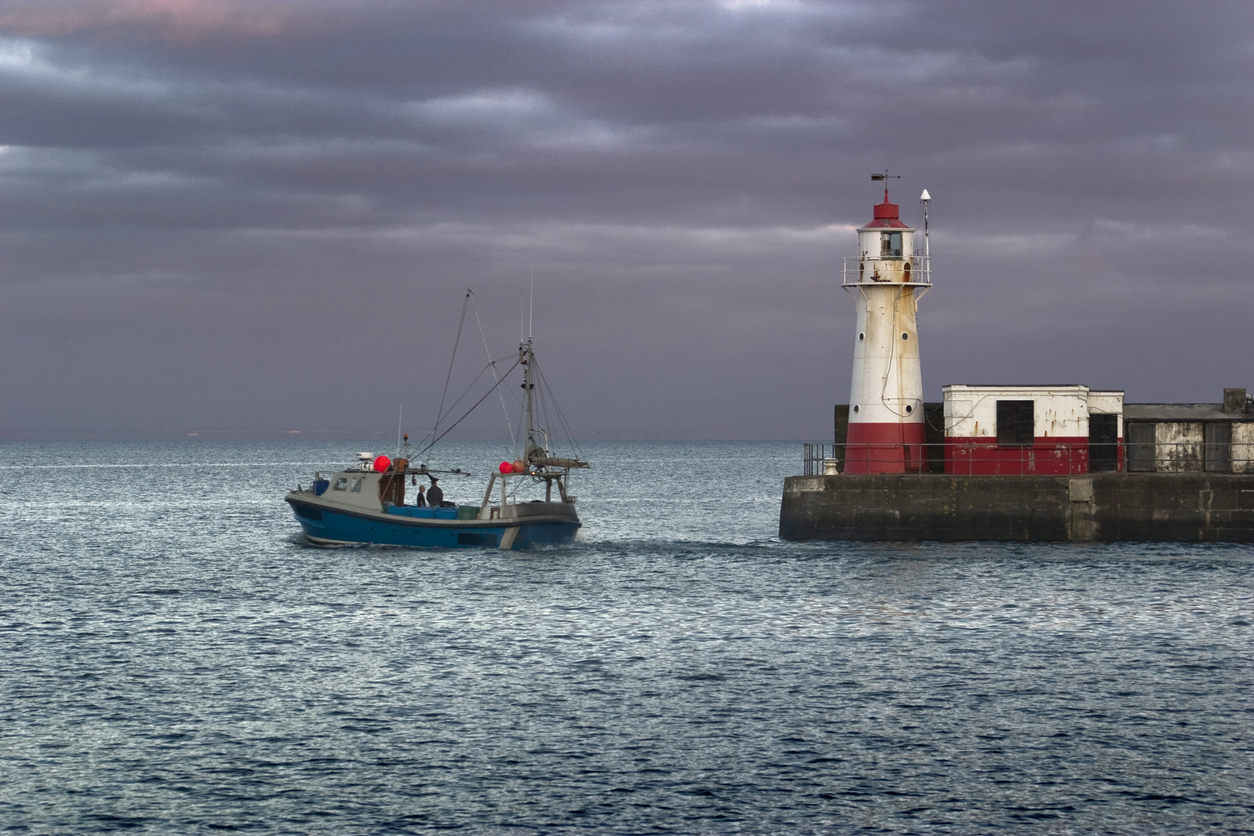 Complete our surveys for your say on two key Fisheries Management Plans ...